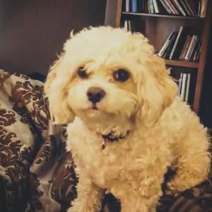 Meet your Posher, Tara